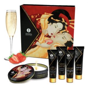 Vibrator Pakket Shunga - Geisha Sparkling Strawberry Wine. Erotisch shoppen doe je bij Women Toys; De lekkerste vrouwenspeeltjes